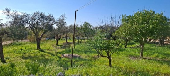 4غرفة منزل في Modica, Italy رقم 234088 26