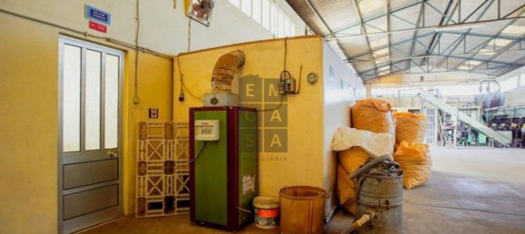 Lagerhaus in Lourosa, Portugal 911m², Nr. 81494 35