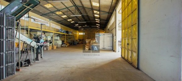 Lagerhaus in Lourosa, Portugal 911m², Nr. 81494 11