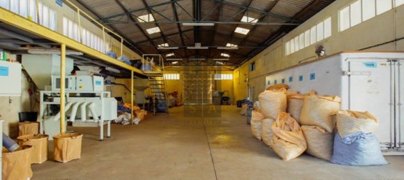 Lagerhaus in Lourosa, Portugal 911m², Nr. 81494 12