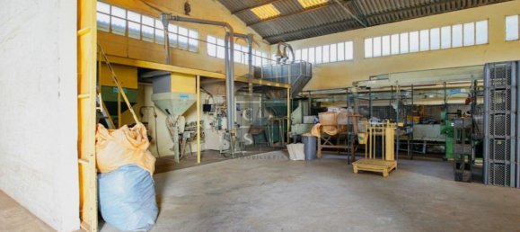 Lagerhaus in Lourosa, Portugal 911m², Nr. 81494 9