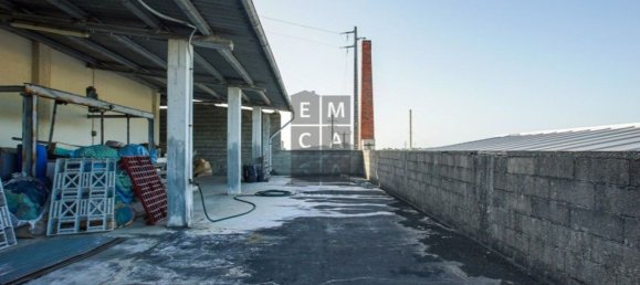 Lagerhaus in Lourosa, Portugal 911m², Nr. 81494 15