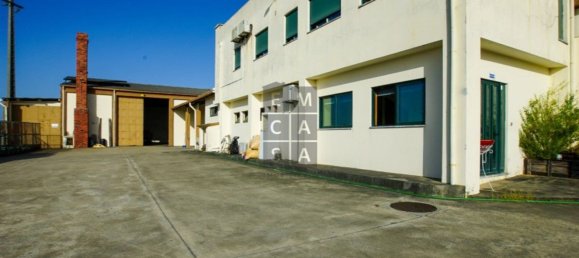 Lagerhaus in Lourosa, Portugal 911m², Nr. 81494 5