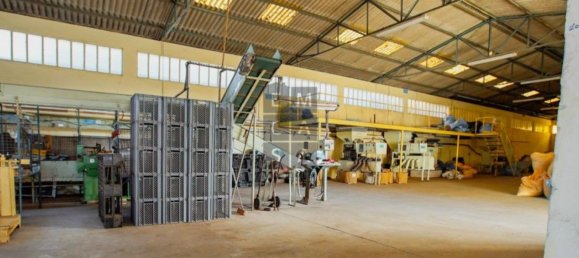 Lagerhaus in Lourosa, Portugal 911m², Nr. 81494 10