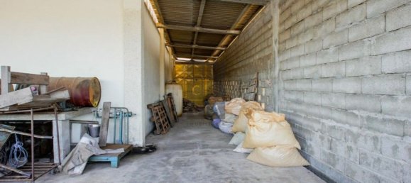 Lagerhaus in Lourosa, Portugal 911m², Nr. 81494 17