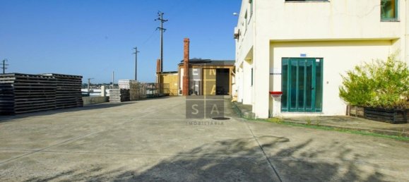 Lagerhaus in Lourosa, Portugal 911m², Nr. 81494 4