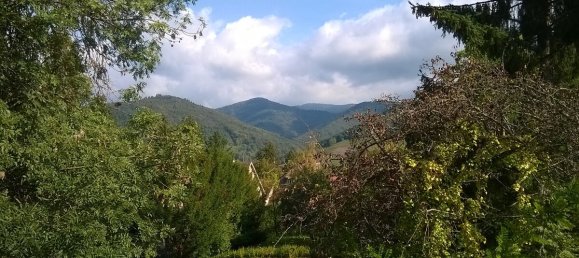 Земельный участок в Танн, Франция № 78242 3