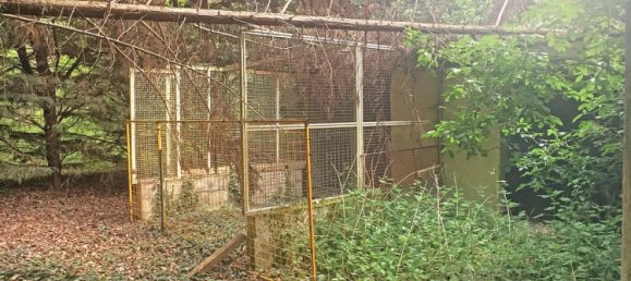 2 غرف نوم منزل في Pressigny-les-Pins, France رقم 70755 13