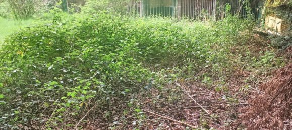 2 غرف نوم منزل في Pressigny-les-Pins, France رقم 70755 12