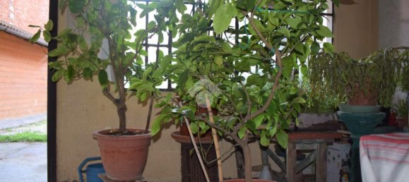 4غرفة منزل في Adro, Italy رقم 162310 8