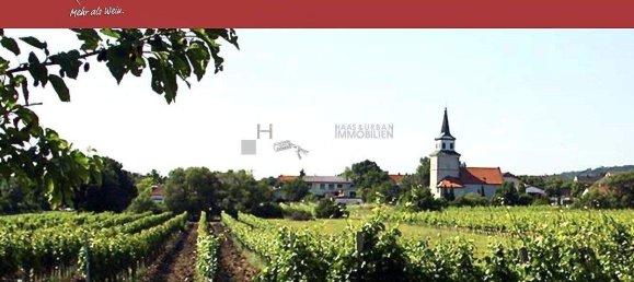 Land in Sooss, Austria No. 126939 3