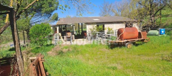 Casa de 3 dormitorios en Scansano, Italy No. 197861 15