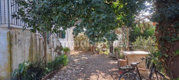 Casa de 3 dormitorios en Scansano, Italy No. 197861 11