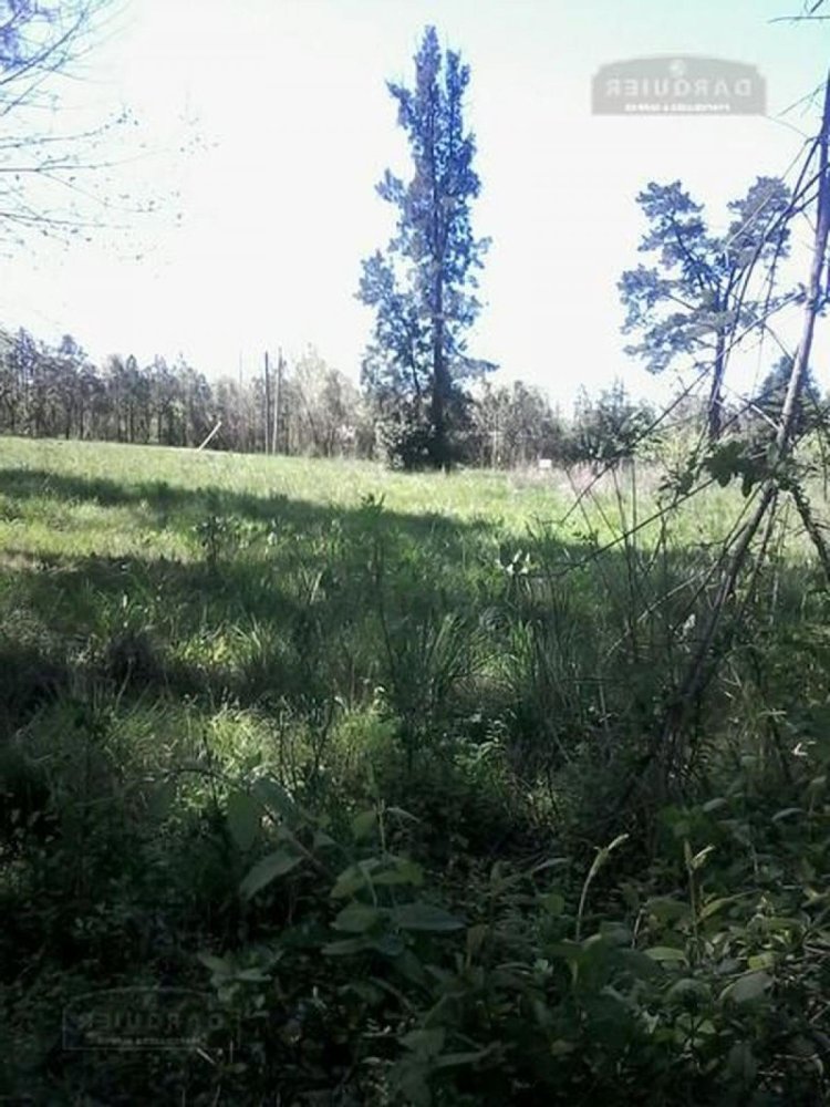  Land in Presidente Peron, Argentina No. 37207