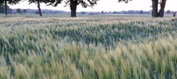 Casa de 2 dormitorios en Rhein-Erft, Germany No. 287920 9