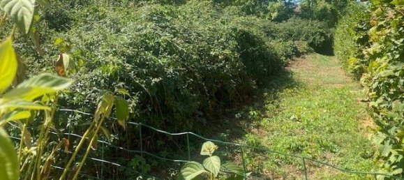 Terrain à Montrevel-en-Bresse, France 1196m² No. 278069 2