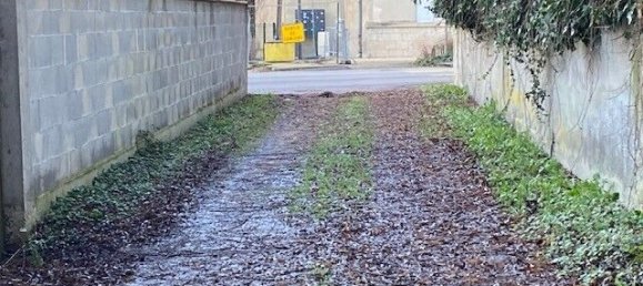 Terrain à Montrevel-en-Bresse, France 1196m² No. 278069 5