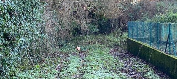 Terrain à Montrevel-en-Bresse, France 1196m² No. 278069 4