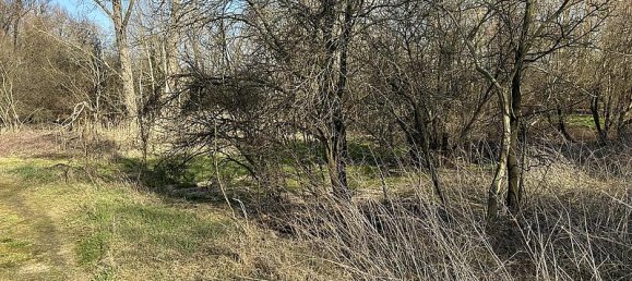 Terrain à Havelland, Germany No. 306584 2