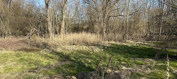 Terrain à Havelland, Germany No. 306584 4