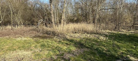 Terrain à Havelland, Germany No. 306584 3