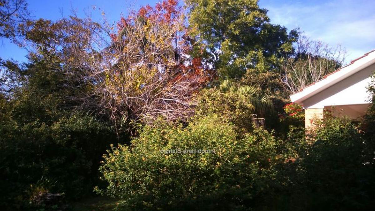 3 bedrooms House in Montevideo, Uruguay No. 806