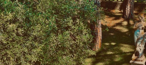 15 rooms Villa in Fucecchio, Italy No. 90911 7