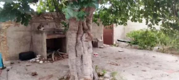 3 غرف نوم منزل في Sierra Engarceran, Spain رقم 114125 3