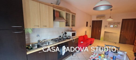 2 rooms Apartment in Padua, Italy No. 267614 3