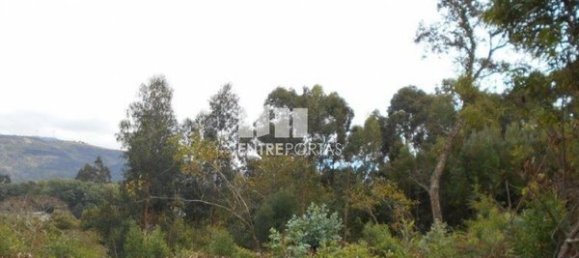 6017m² Land in Caminha, Portugal No. 97614 3