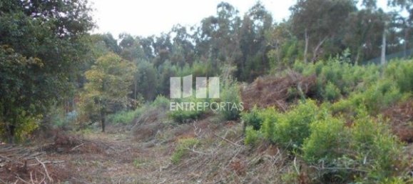 6017m² Land in Caminha, Portugal No. 97614 2