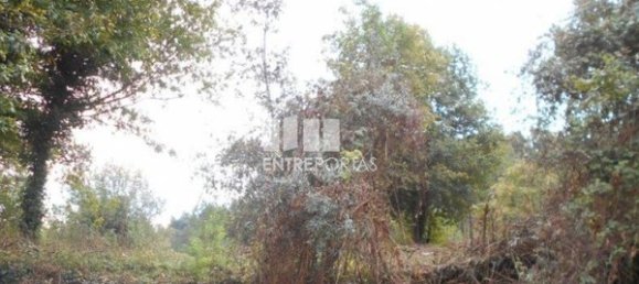 6017m² Land in Caminha, Portugal No. 97614 5