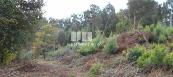 6017m² Land in Caminha, Portugal No. 97614 7