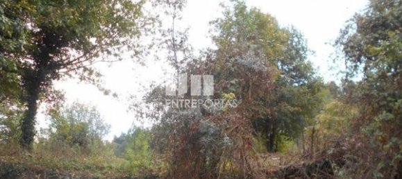 6017m² Land in Caminha, Portugal No. 97614 9