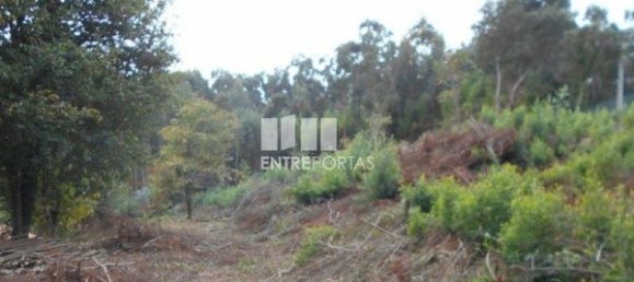 6017m² Land in Caminha, Portugal No. 97614 6