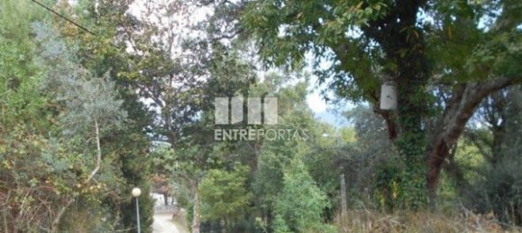 6017m² Land in Caminha, Portugal No. 97614 8