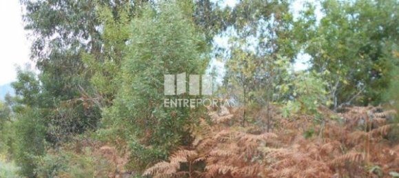 6017m² Land in Caminha, Portugal No. 97614 4