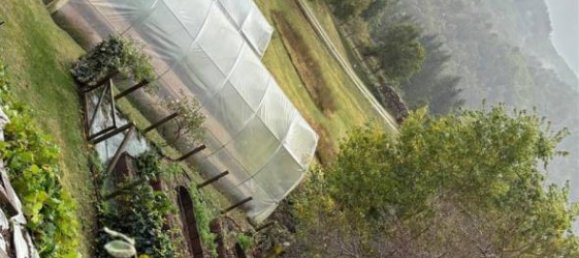 7 bedrooms House in Poppi, Italy No. 55577 45