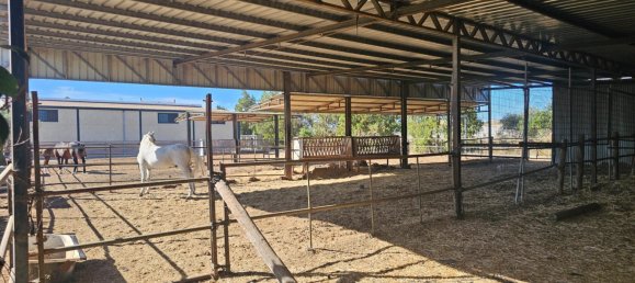 4 Schlafzimmer Haus in Sanlucar de Barrameda, Spain, Nr. 173188 32