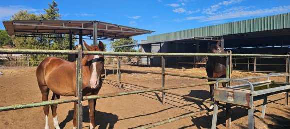 4 Schlafzimmer Haus in Sanlucar de Barrameda, Spain, Nr. 173188 30