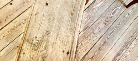 Apartamento de 5 habitaciónes en Charlottenburg, Germany No. 11313 5