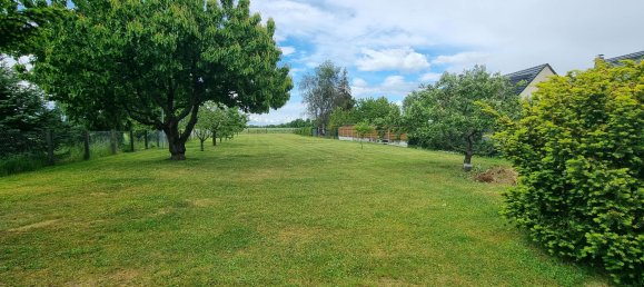 4 bedrooms House in Dahme-Spreewald, Germany No. 319884 5