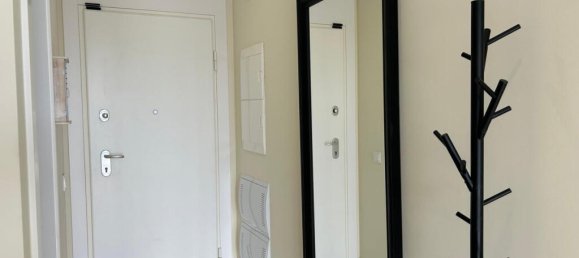 3 bedrooms Apartment in Alicante, Spain No. 183761 5