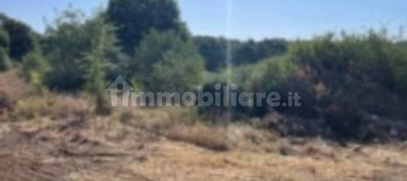 4 bedrooms Apartment in Campagnano di Roma, Italy No. 277997 8