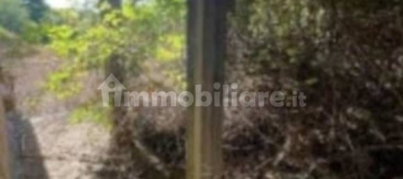 4 bedrooms Apartment in Campagnano di Roma, Italy No. 277997 2