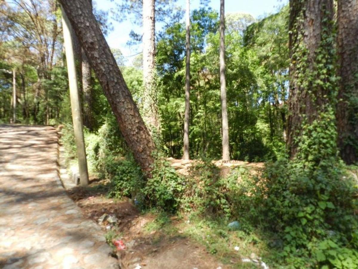 Terrain à Heroica Matamoros, Mexico No. 203777