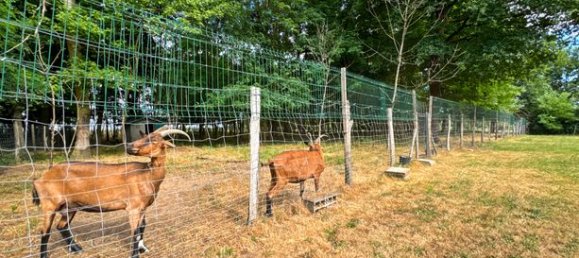 5 bedrooms House in Montmerle-sur-Saone, France No. 313814 3