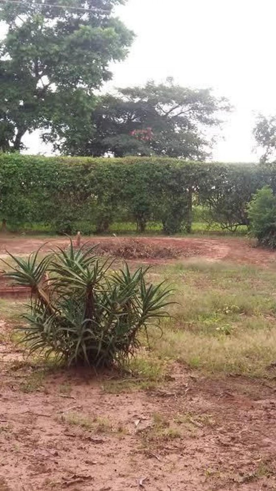 2 Schlafzimmer Haus in Sao Paulo, Brazil, Nr. 468642