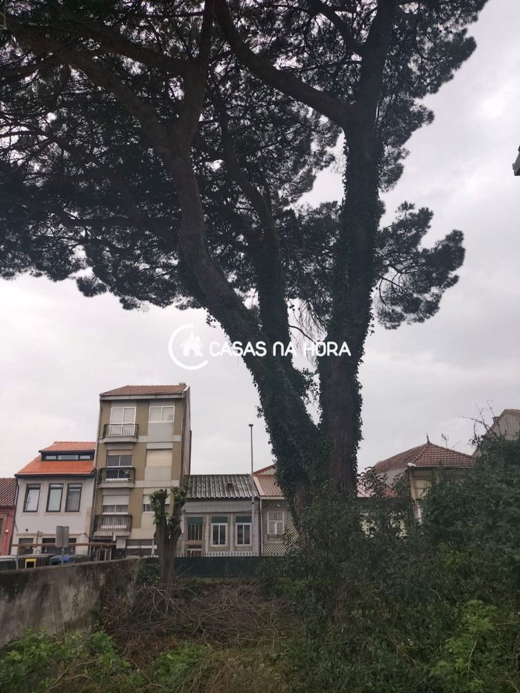 982m² Land in Sao Mamede de Infesta, Portugal No. 216577