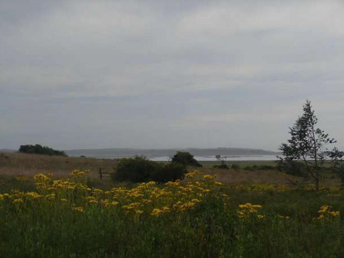  Farm in Maldonado, Uruguay No. 15732